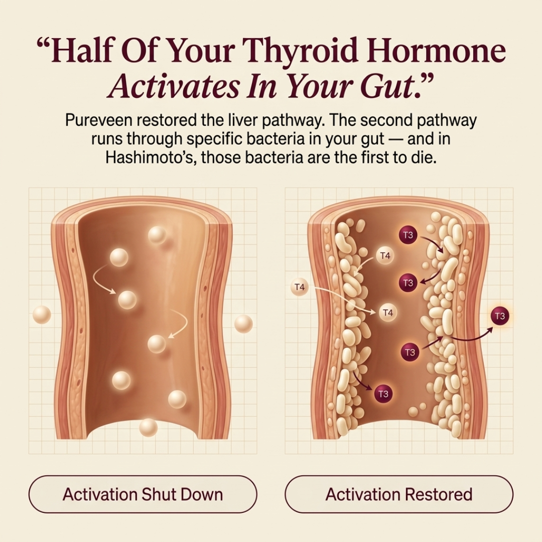 Pureveen Probiotics