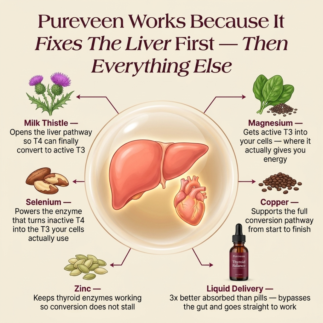 Pureveen™ Thyroid Balance